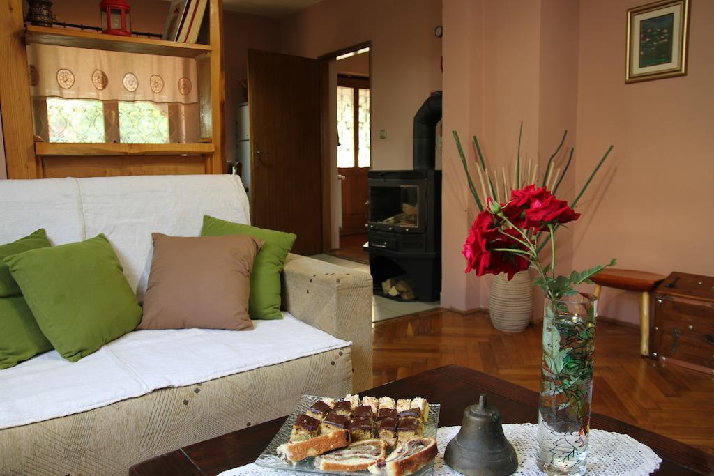 Apartment Eva Rakovica Rum bild